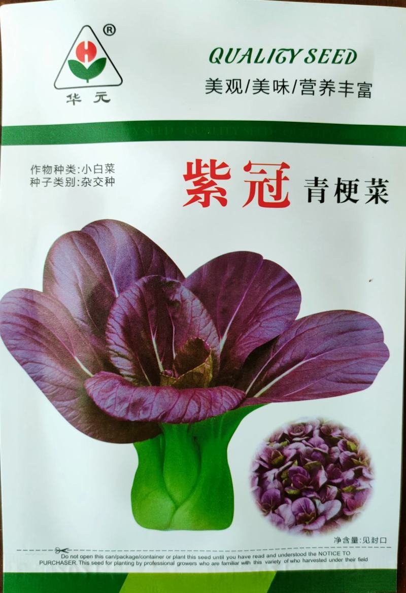 紫红青梗菜种子紫叶小青菜种子红色青梗菜种子