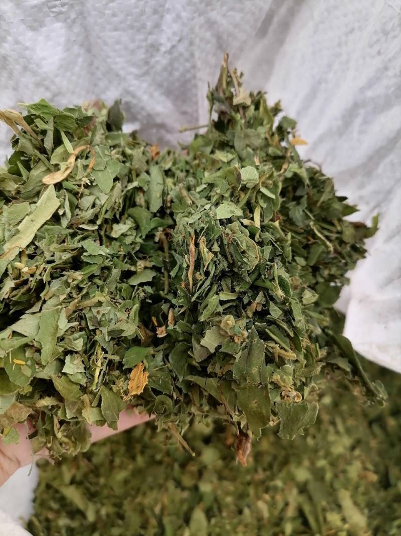 金银花叶野生新货色好货净零售批发一手货源产地直发