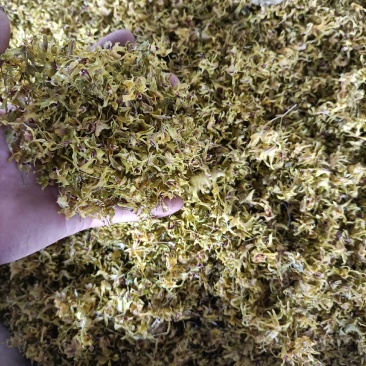 云南高原特色铁皮石斛干花，需要的联系我