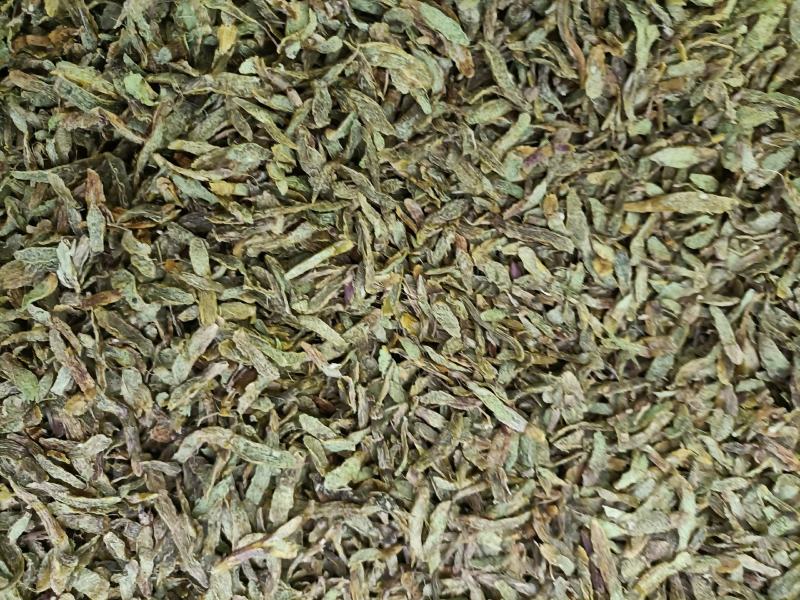 云南高原特色铁皮石斛切片，