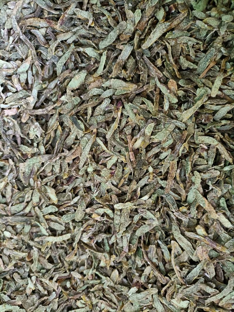 云南高原特色铁皮石斛切片，