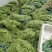 小金豆上市了