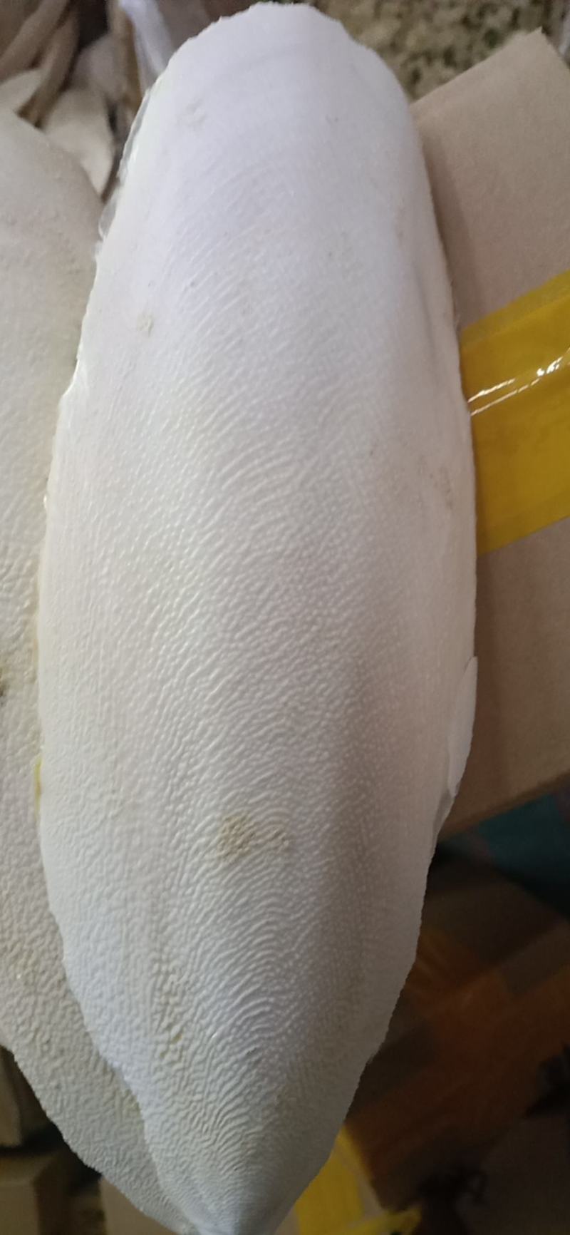云南中药材海螵蛸乌贼骨墨鱼骨大块