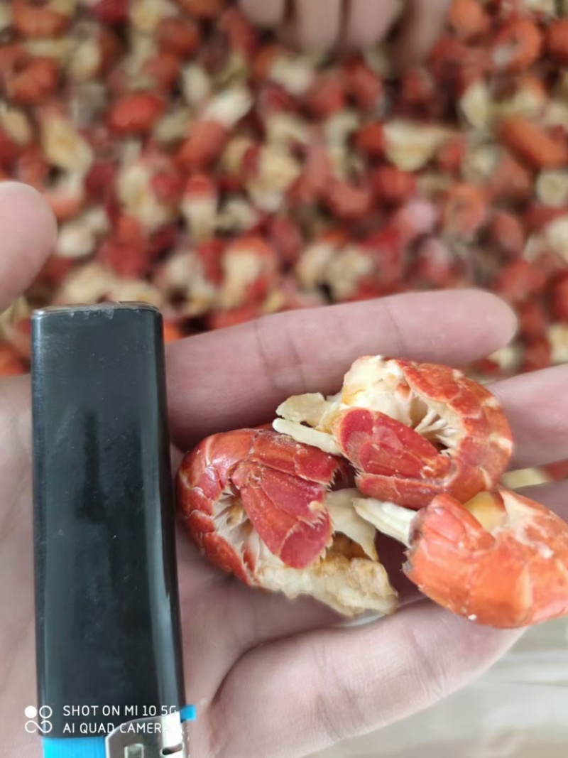 无冰虾尾原料龙虾尾小龙虾虾尾20斤净重只多不少