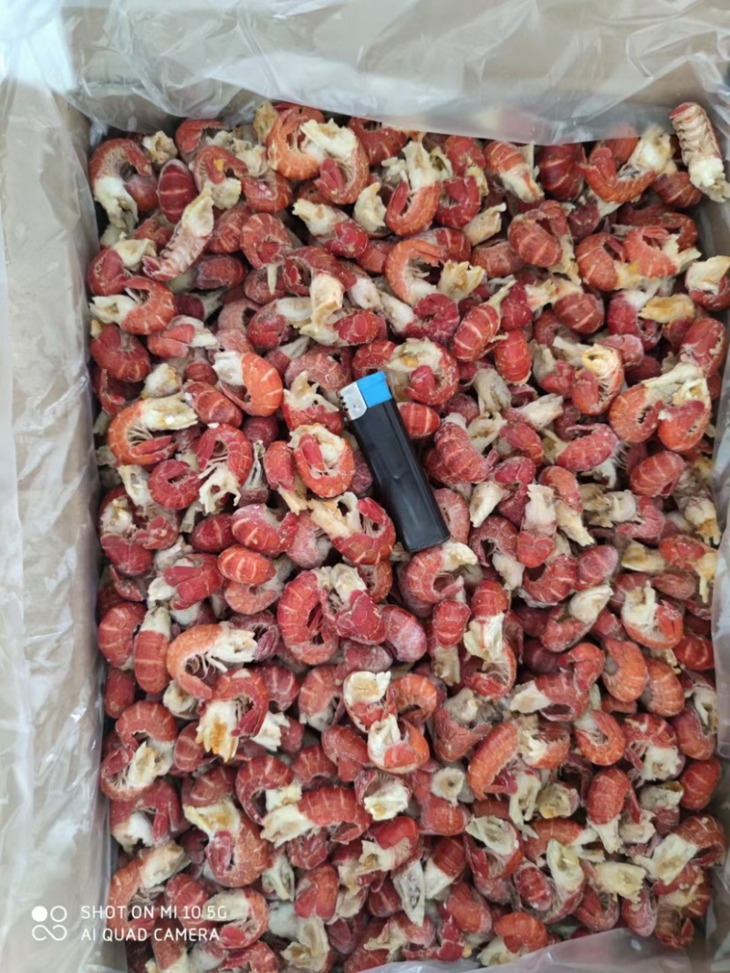 无冰虾尾原料龙虾尾小龙虾虾尾20斤净重只多不少