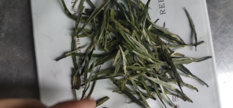 高山野茶