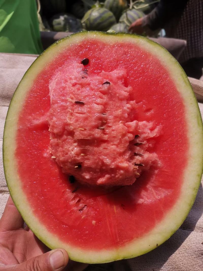 甜王西瓜，万亩西瓜种植基地，大量供货中！欢迎视频看货
