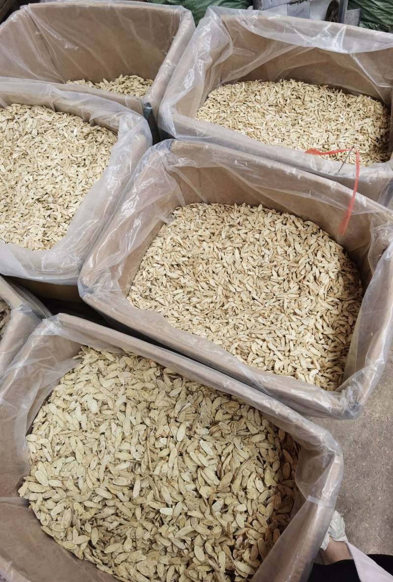 黄芪黄芪产地直供量大从优一手货源