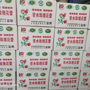 苦水玫瑰花蕾