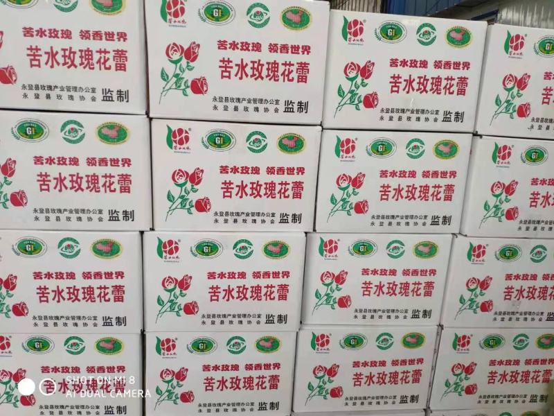 苦水玫瑰花蕾