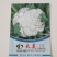 太美58松花菜种子早熟耐热耐晒产量高抗病性强