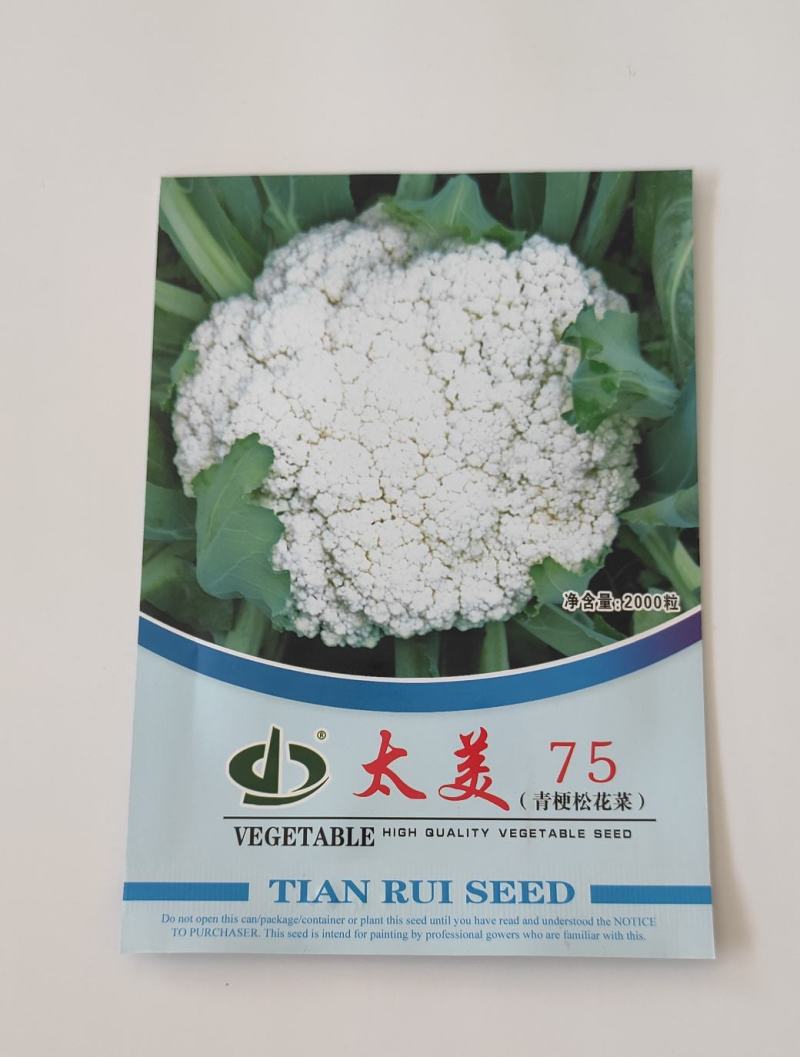 太美58松花菜种子早熟耐热耐晒产量高抗病性强