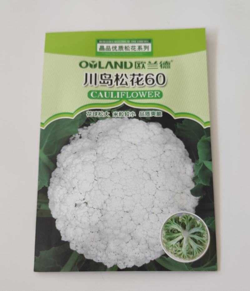 川岛松花106松花菜种子一代杂交花球圆整厚实米粒细小