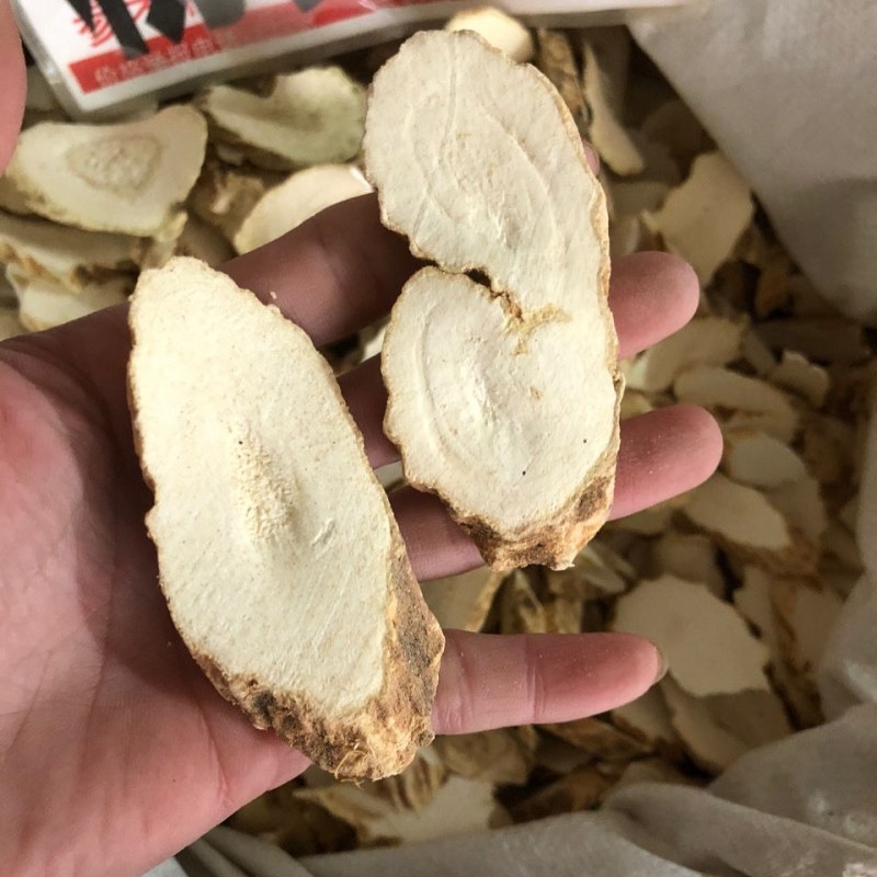 大罗伞粉罗伞玉郎伞木肚端山大颜刀斧伤山大刀