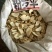 大罗伞粉罗伞玉郎伞木肚端山大颜刀斧伤山大刀