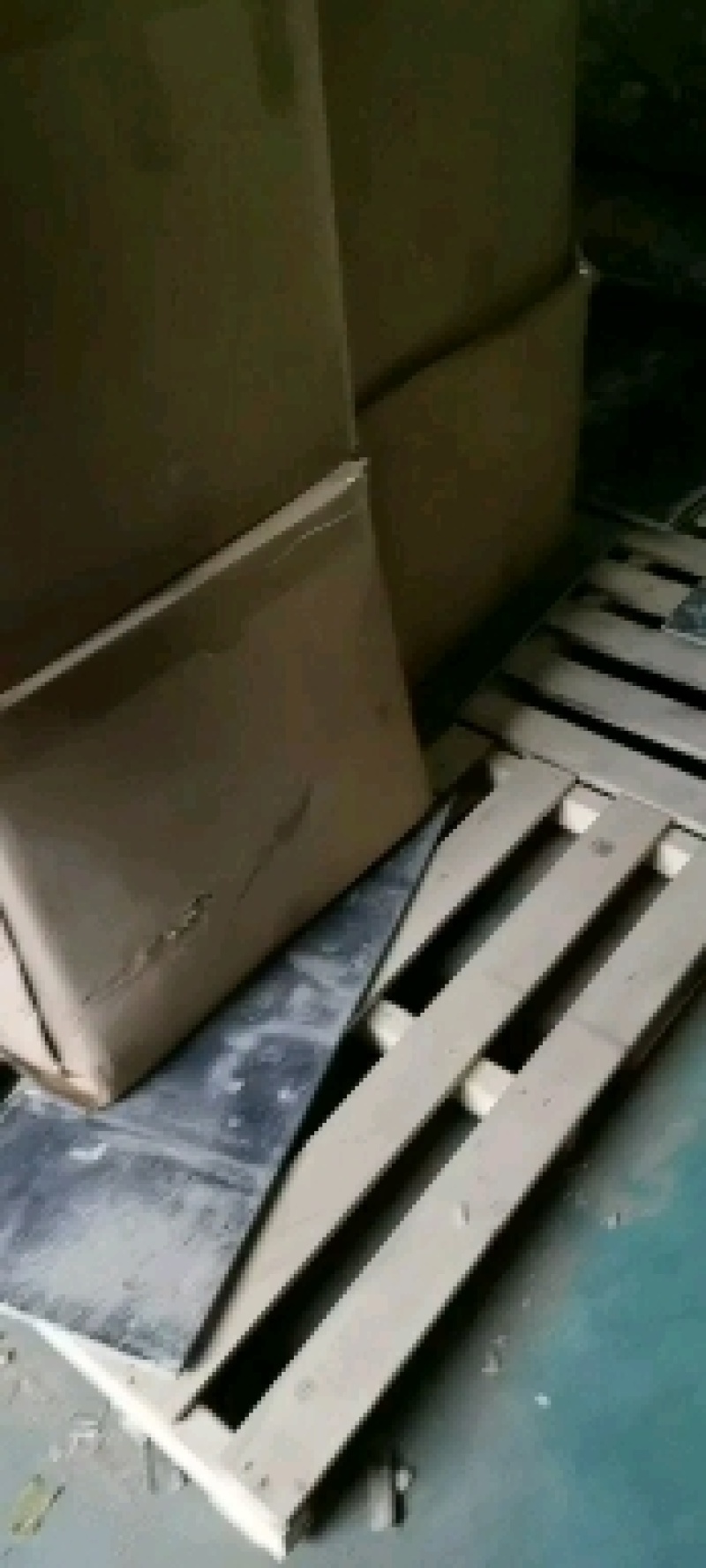 通货干香菇价格优惠品质保证一手货源大量存货欢迎采购