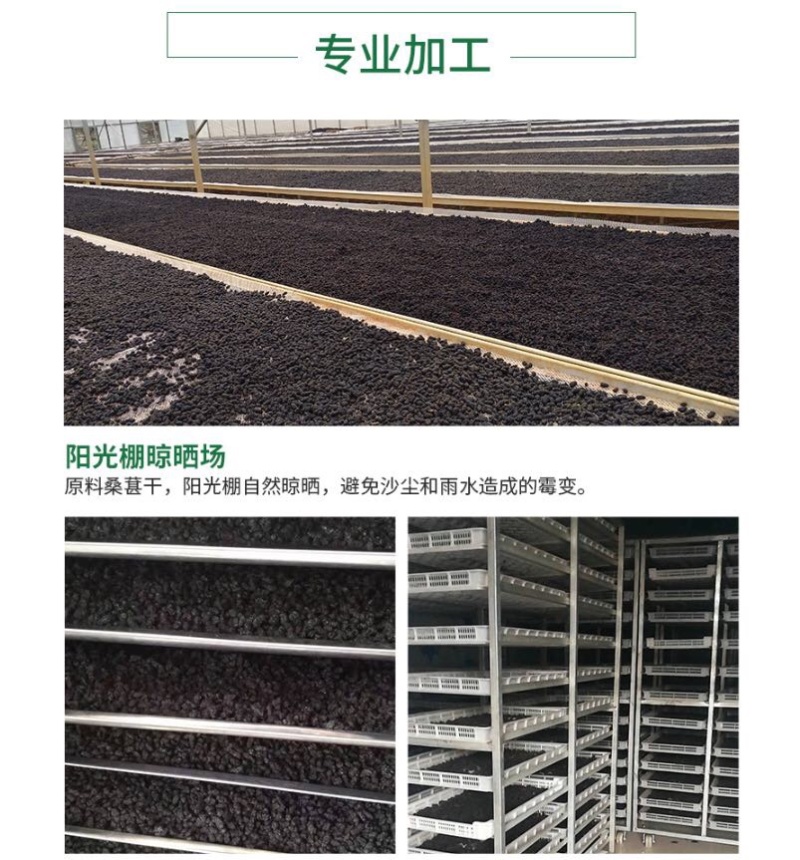 桑葚干、攀枝花原产地、品质好货，质量保证，全国发货