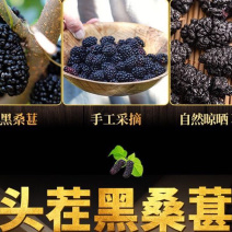 桑葚干、攀枝花原产地、品质好货，质量保证，全国发货