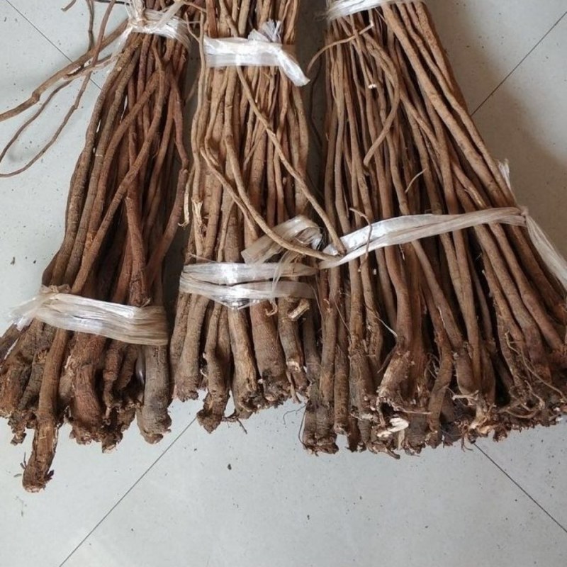千斤拔野生一条根中药千金拔片中草药千斤抜
