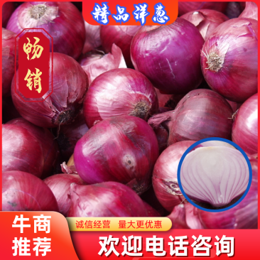 精品红皮洋葱紫皮洋葱二红包半高庄洋葱大量上市，货源充足