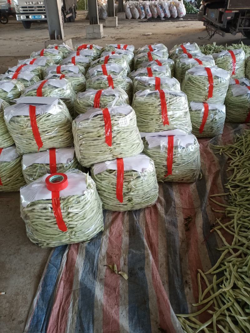 白豆角，白不老，都是大棚新下来的，条好色泽好质量好