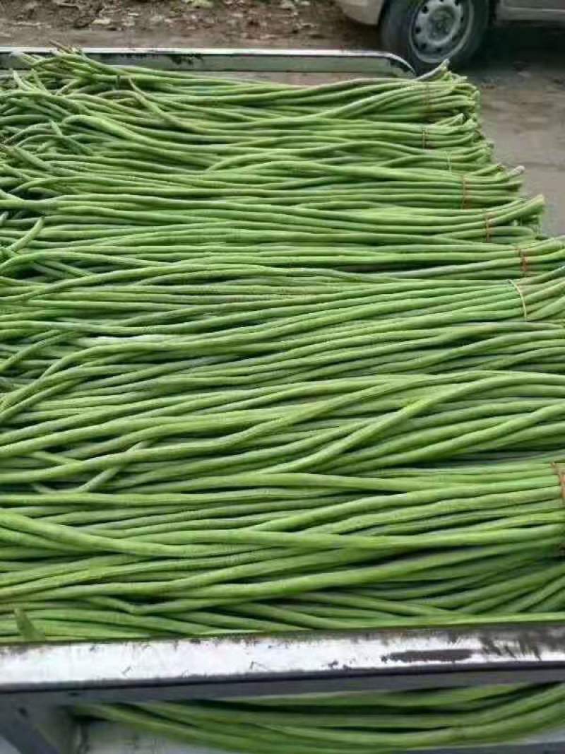 基地长豆角，货源充足，加工厂市场电商，加冰泡水，各种包装