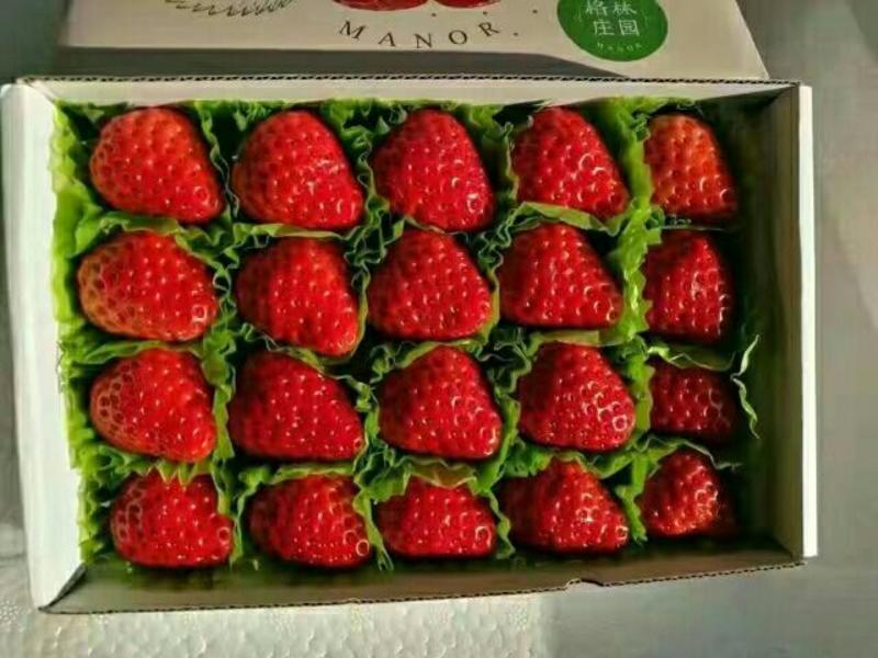 草莓，四季草莓，长年有货，可长期供应，每颗精心挑选及包装