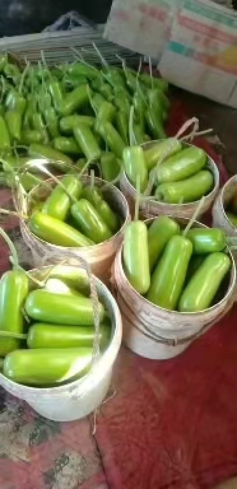 瓠瓜铺子瓜基地货，货源充足，质量保证