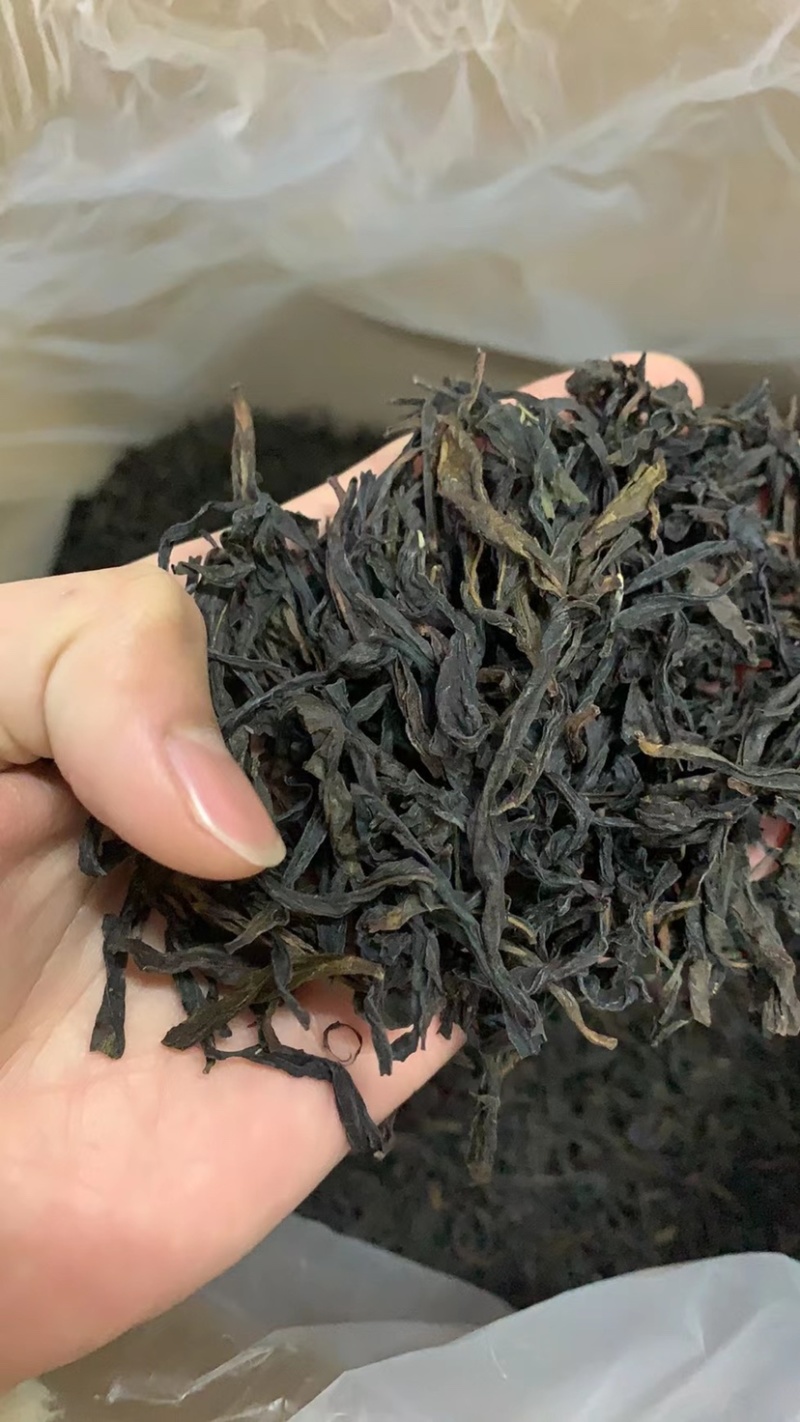 凤凰单丛茶叶特级高山蜜兰香乌龙茶
