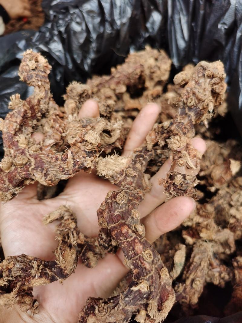 广西广东两广地区大良姜统货无硫磺干片