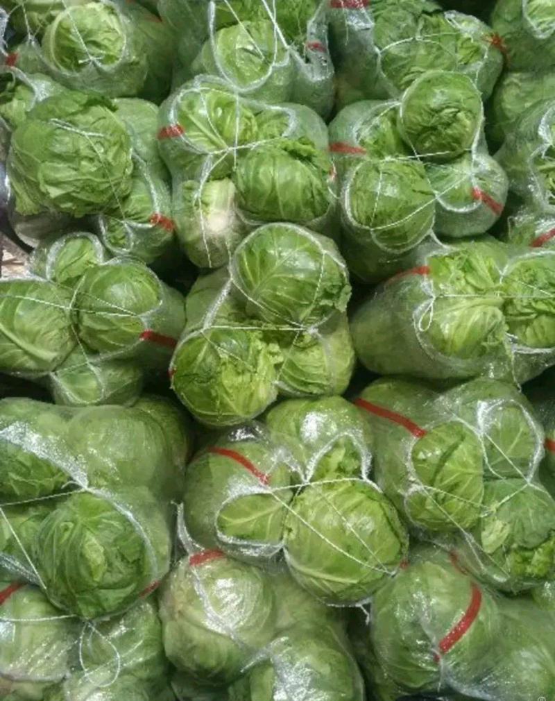 甘蓝圆包菜（袋装，散装）1.5～3斤左右产地直发