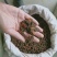 野生桦树茸野生桦树茸颗粒野生桦褐孔菌小粒块整块包邮