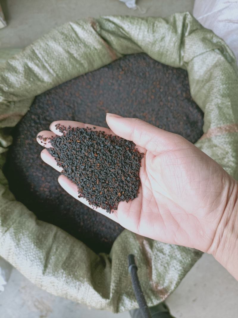 野生桦树茸野生桦树茸颗粒野生桦褐孔菌小粒块整块包邮