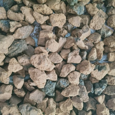 野生桦树茸野生桦树茸颗粒野生桦褐孔菌小粒块整块包邮
