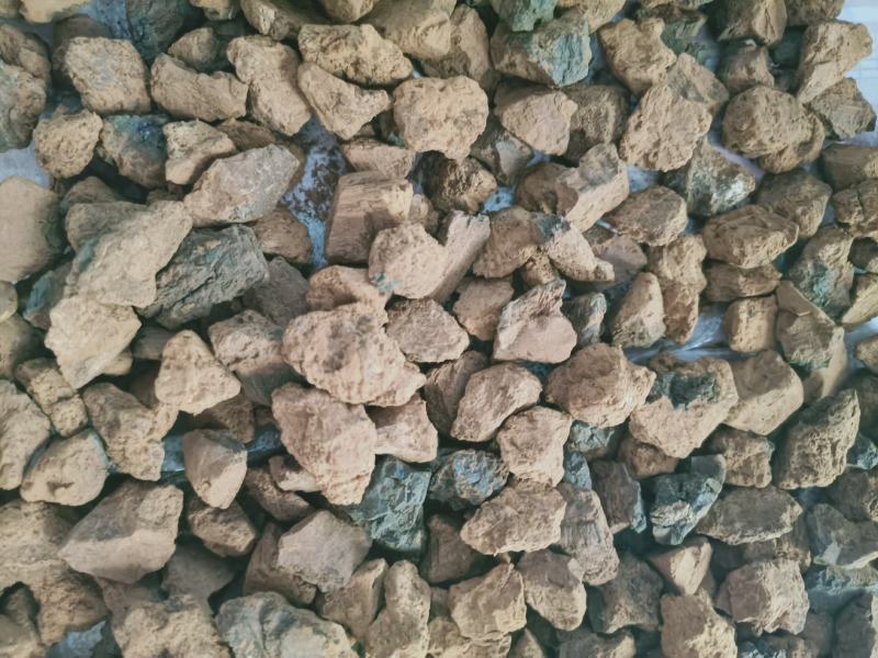 野生桦树茸野生桦树茸颗粒野生桦褐孔菌小粒块整块包邮