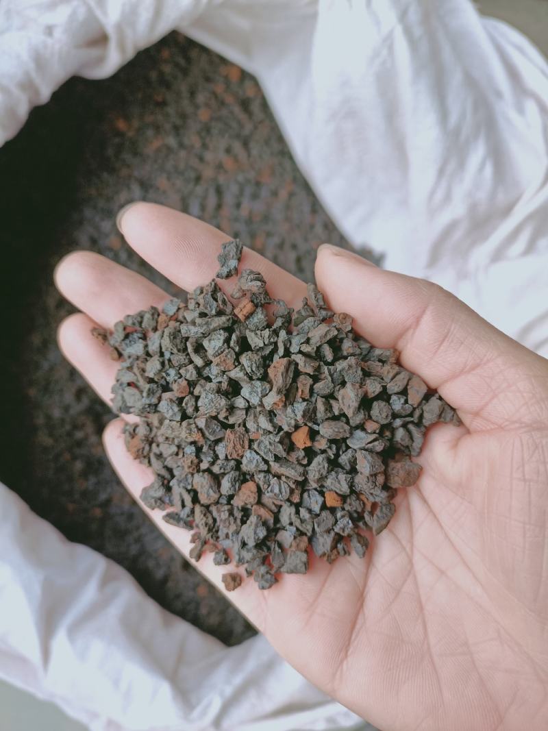 野生桦树茸野生桦树茸颗粒野生桦褐孔菌小粒块整块包邮