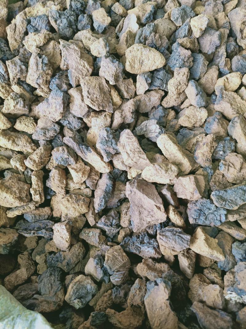 野生桦树茸野生桦树茸颗粒野生桦褐孔菌小粒块整块包邮