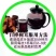 野生桦树茸野生桦树茸颗粒野生桦褐孔菌小粒块整块包邮