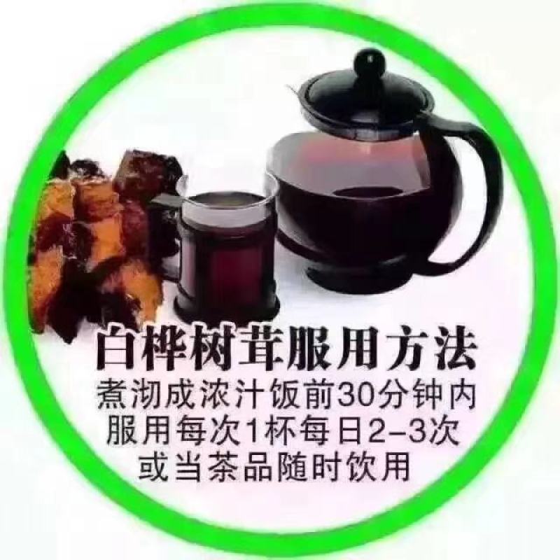 野生桦树茸野生桦树茸颗粒野生桦褐孔菌小粒块整块包邮