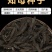 纯新知母种子基地一手货源出芽率高包技术指导