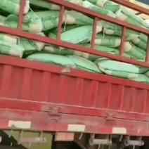 长期大量供应国内国外优质碎米白米无黄无味色泽一致价格优惠