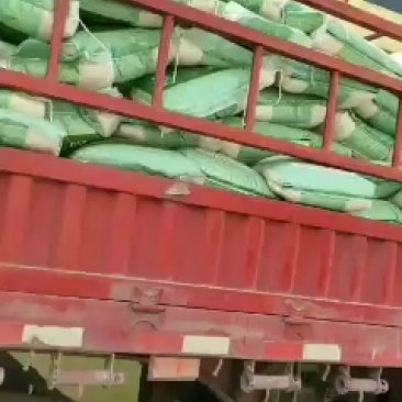 长期大量供应国内国外优质碎米白米无黄无味色泽一致价格优惠