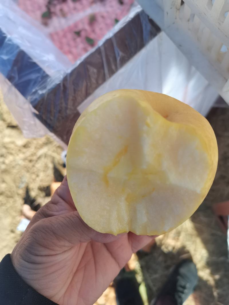 黄金维纳斯