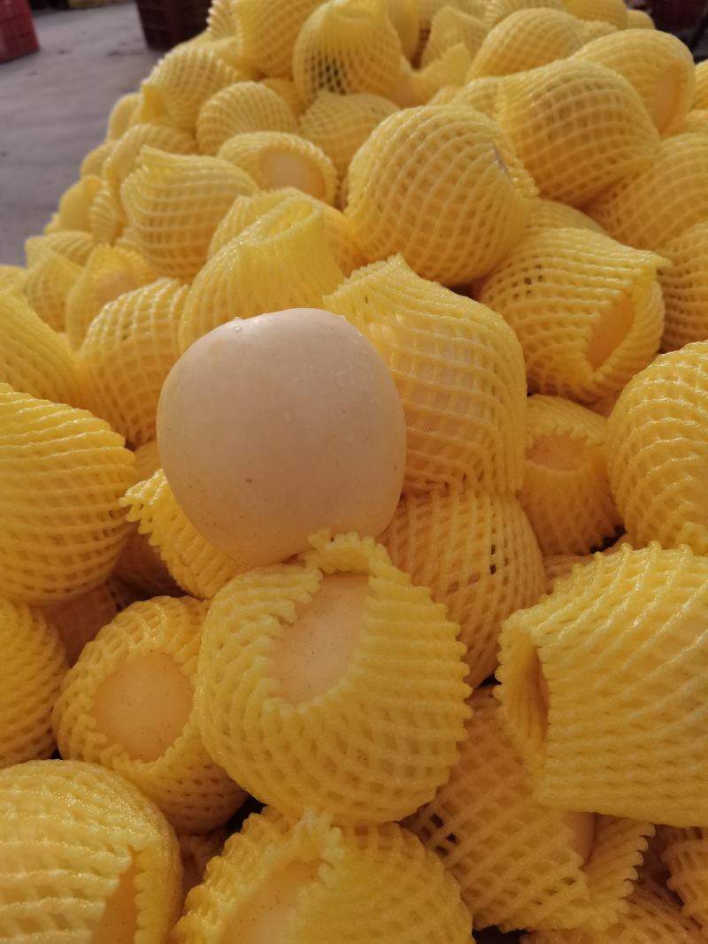 黄金维纳斯