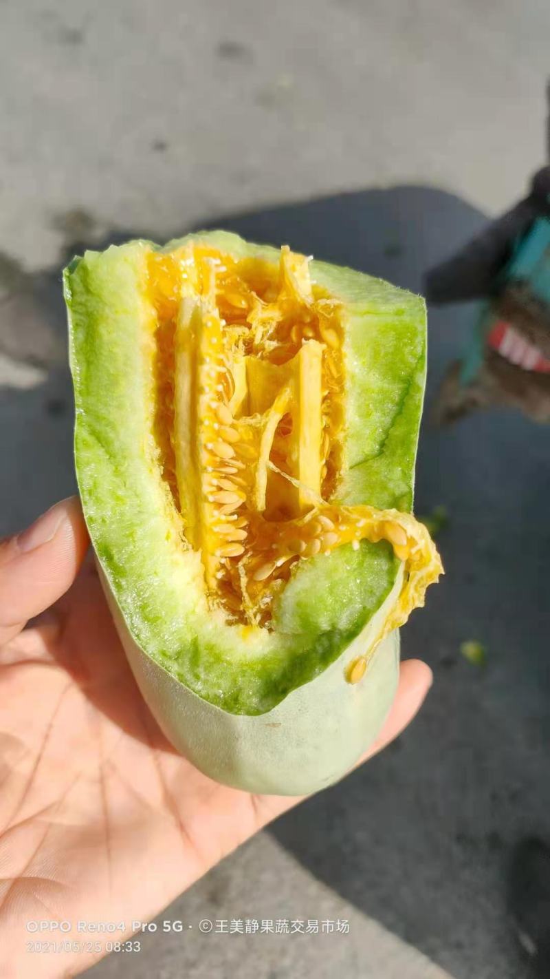 山东羊角蜜，产地直供，诚信经营，专业代收