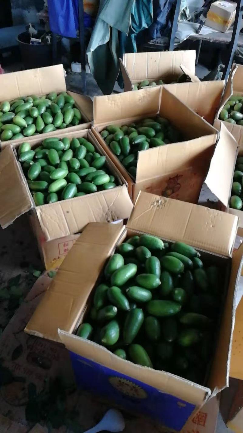 中国台湾海南品种四季无籽香水柠檬一级果奶茶店专用
