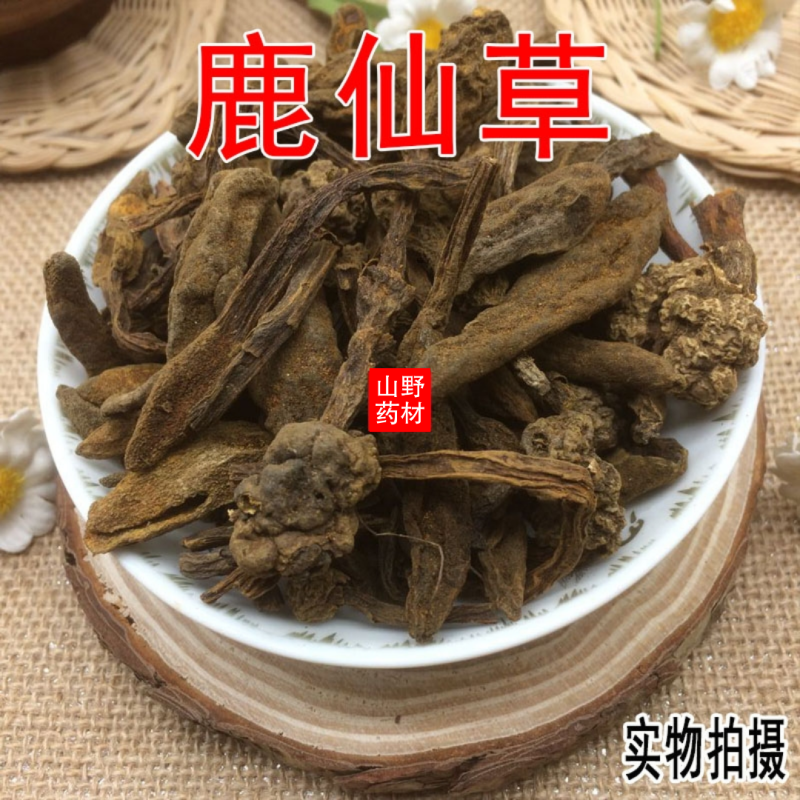 云南中药材鹿仙草不上莲通天蜡烛石上莲山菠萝