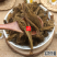 云南中药材鹿仙草不上莲通天蜡烛石上莲山菠萝