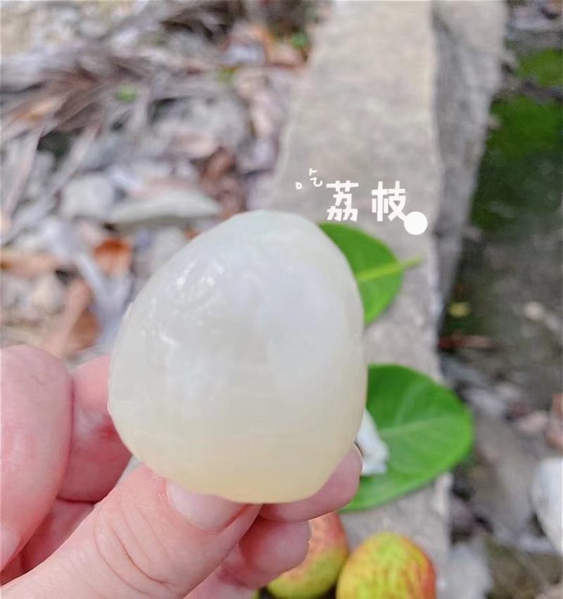 妃子笑荔枝广西荔枝大量上市基地直发欢迎老板量大优先