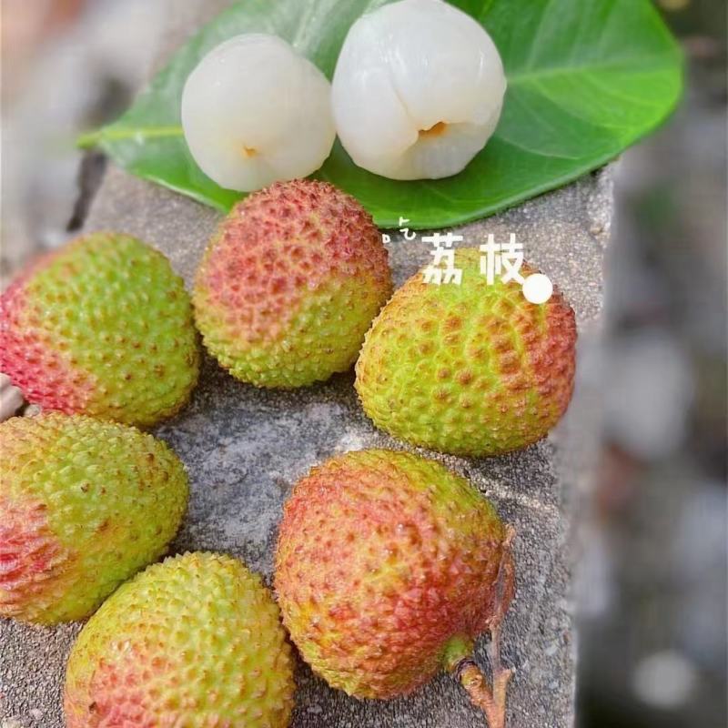 妃子笑荔枝广西荔枝大量上市基地直发欢迎老板量大优先